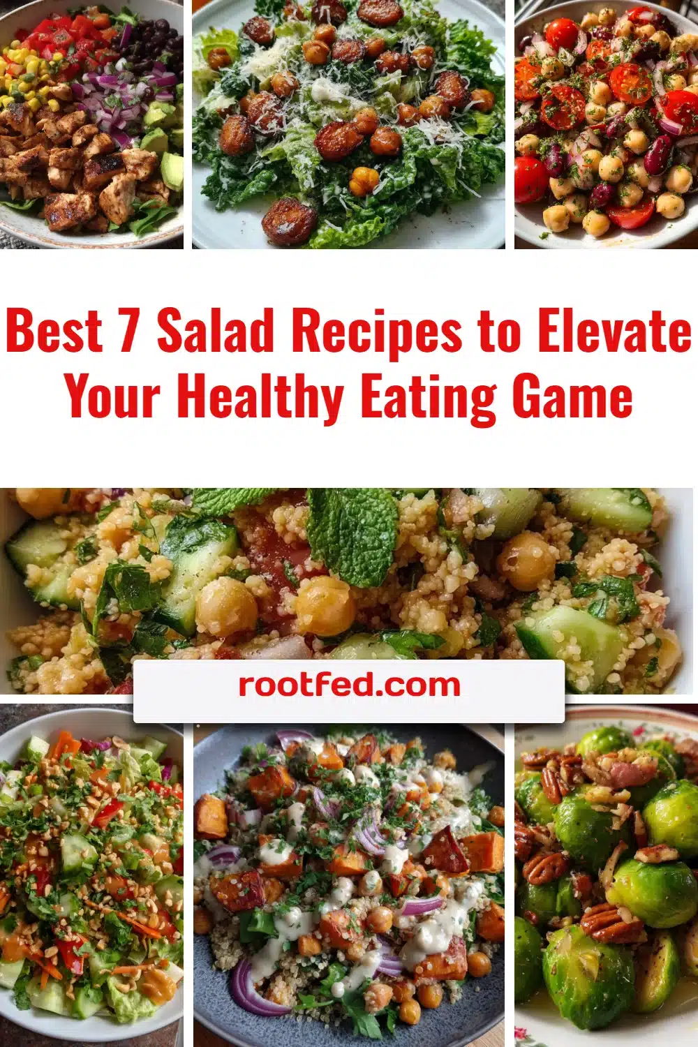 Colorful salads displayed for healthy eating recipes.