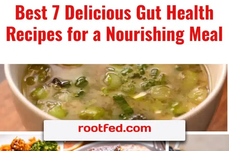 Delicious gut health recipes for nourishing meals promoting digestive wellness